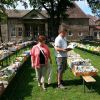 2014-05-25_5. Burgwerbener Buechermarkt_05.jpg